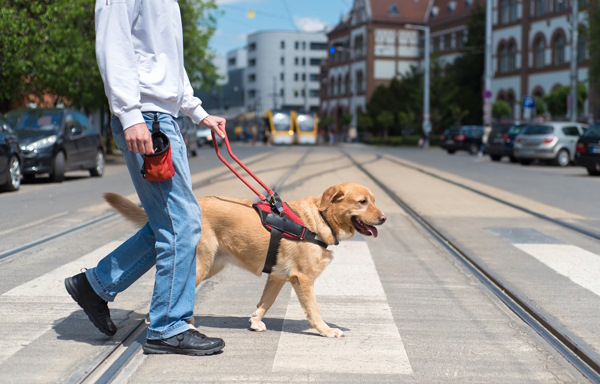 Homme avec son chien-guide qui traverse une rue dans un milieu urbain